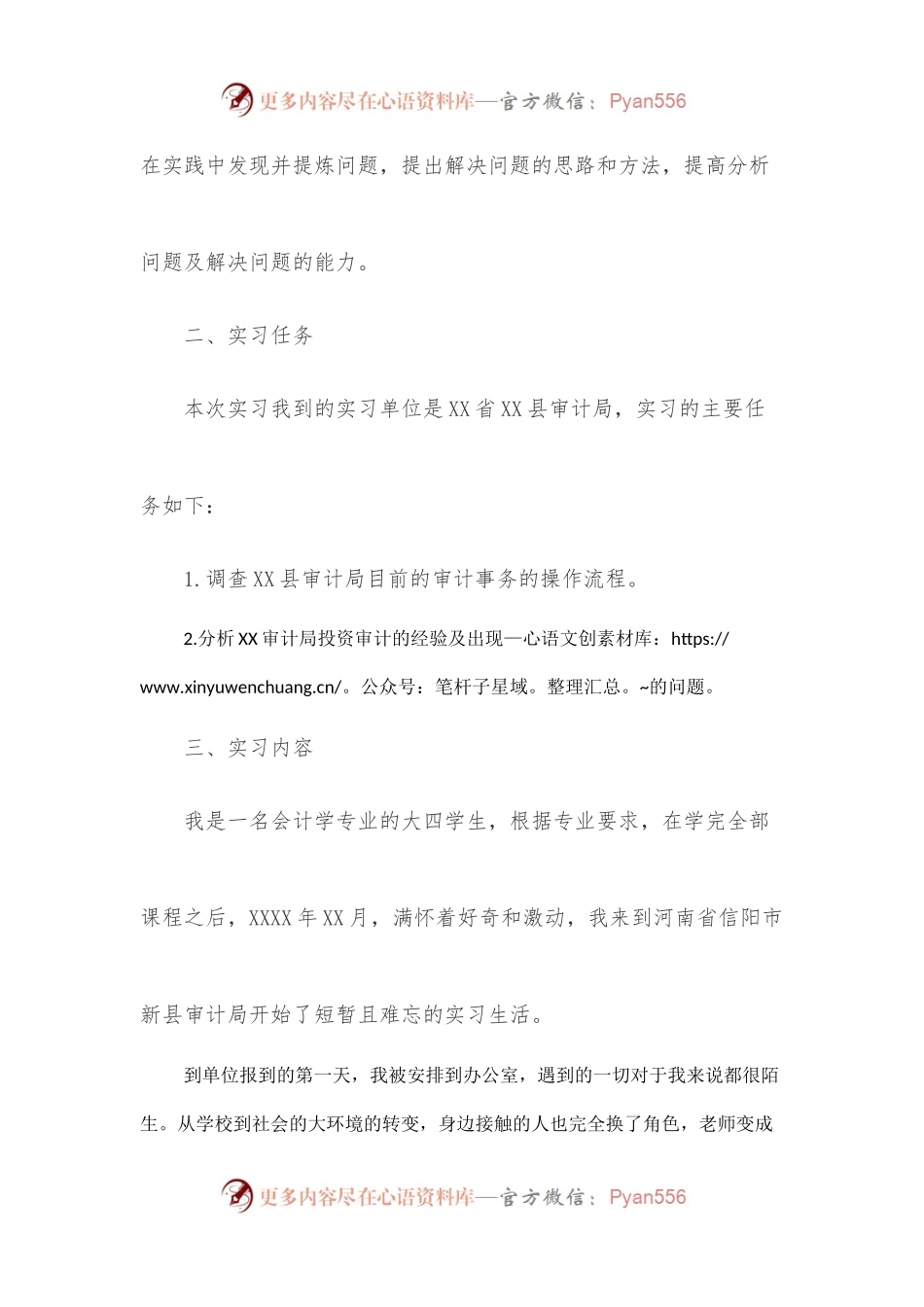 在审计系统的实习报告.docx_第2页