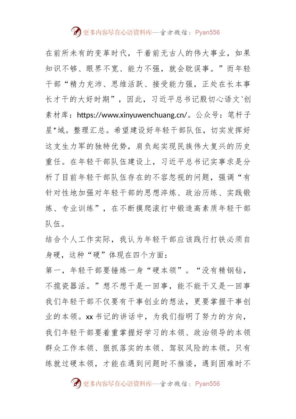 在年轻干部座谈会上的发言材料（3）.docx_第2页