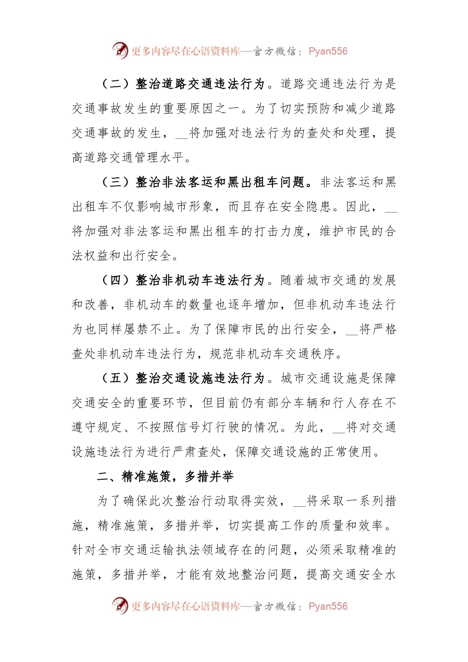 在市交通运输执法领域突出问题专项整治行动动员会上的讲话范文.docx_第2页