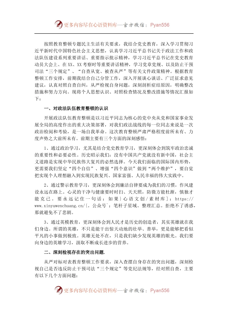 在政法队伍教育整顿民主生活会上的发言（市委政法委副书记）.docx_第1页