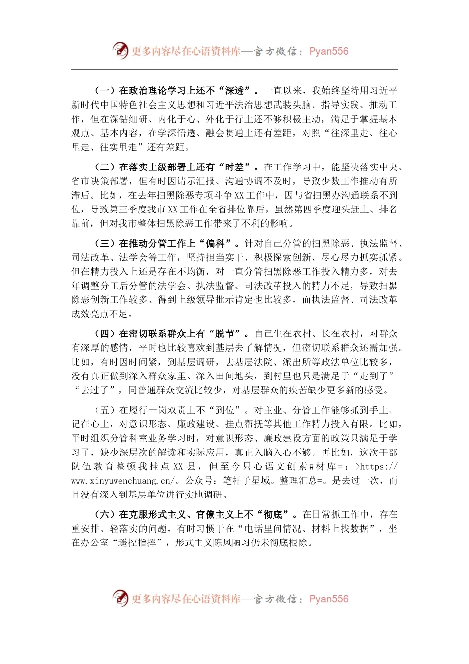 在政法队伍教育整顿民主生活会上的发言（市委政法委副书记）.docx_第2页