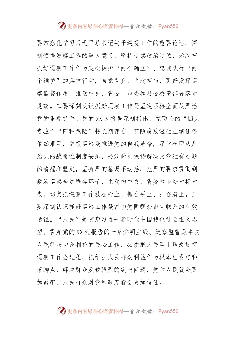 在全县巡察工作会议上的讲话.docx_第2页