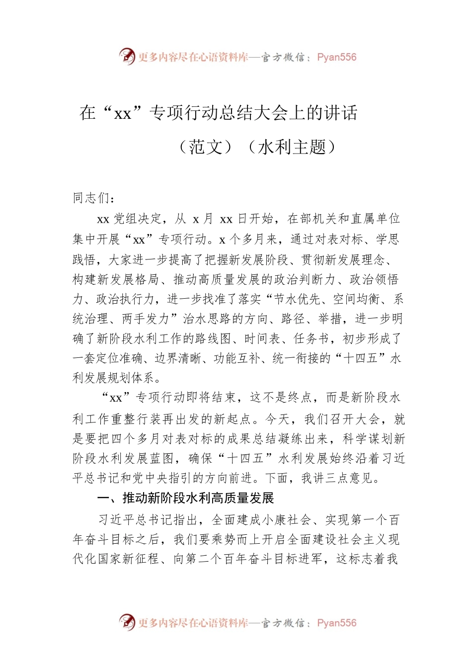 在“xx”专项行动总结大会上的讲话（范文）（水利主题）.docx_第1页