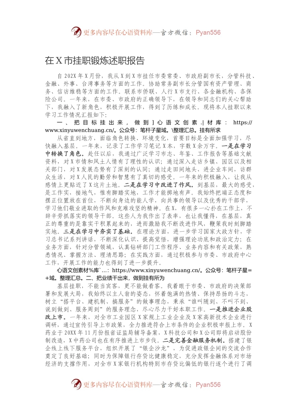 在X市挂职锻炼述职报告.docx_第1页
