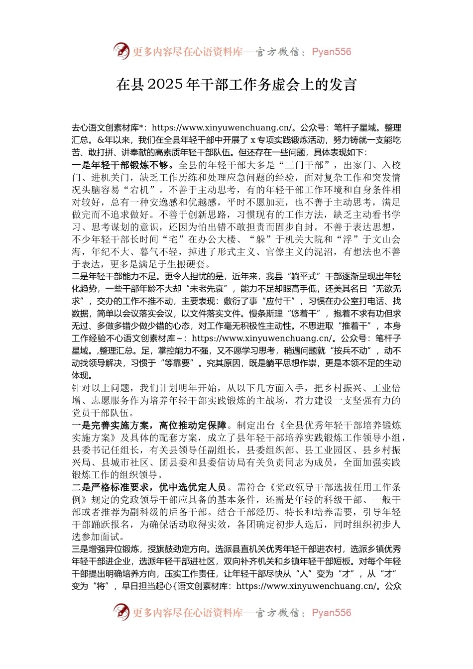 在县2025年干部工作务虚会上的发言.docx_第1页