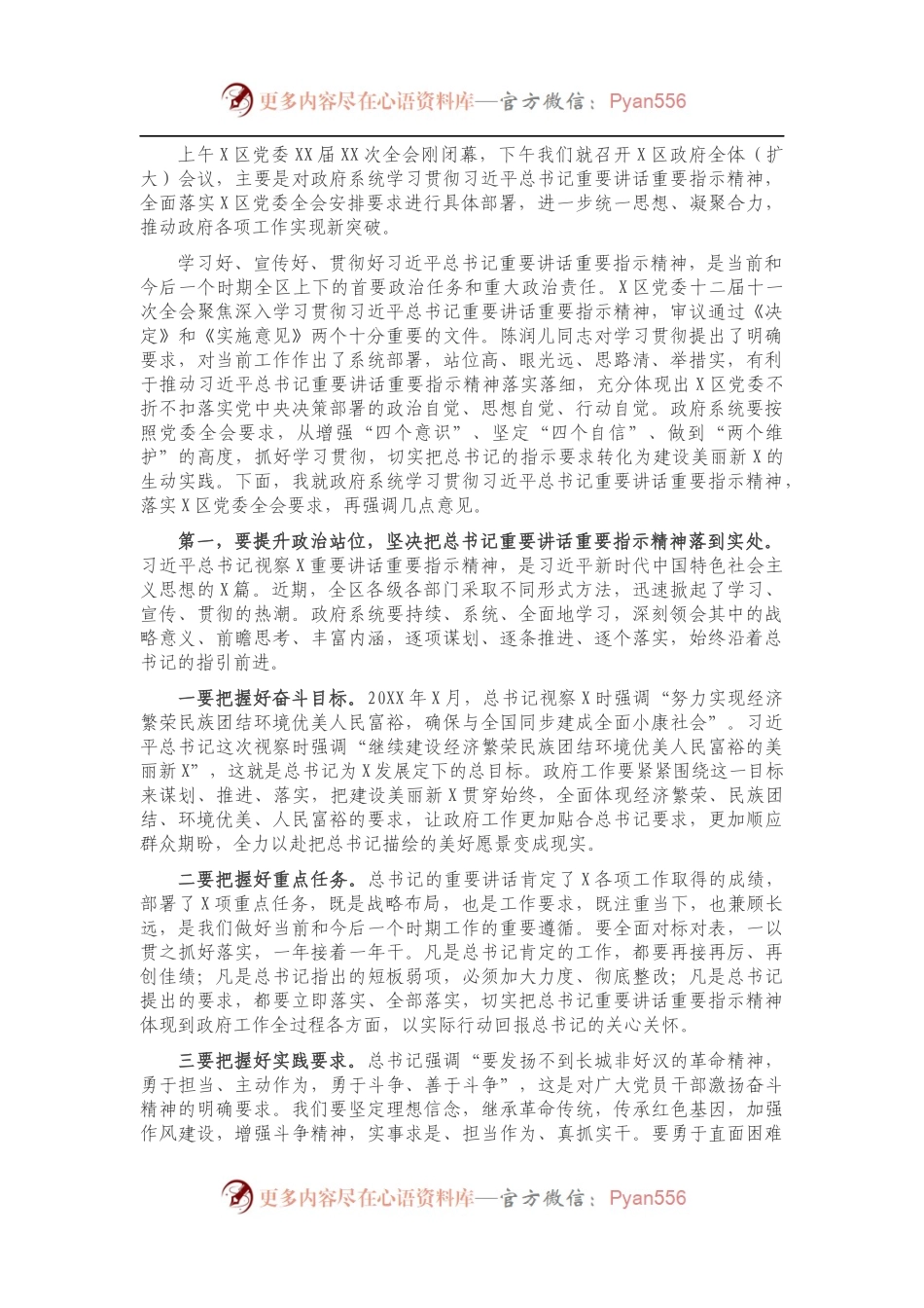 在X区人民政府第X次全体（扩大）会议上的讲话.docx_第1页