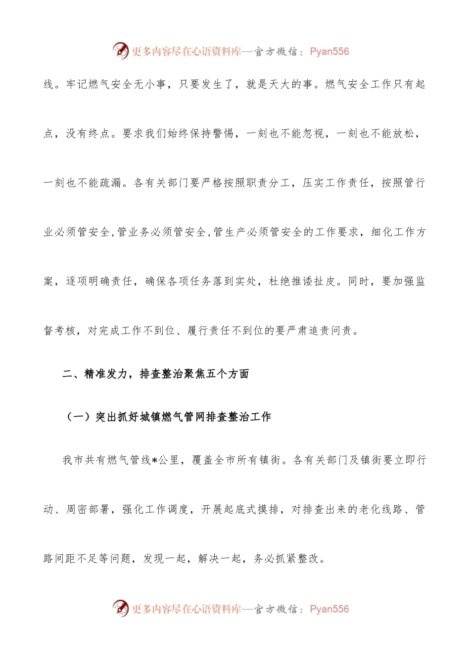 在全市燃气安全排查整治工作会议上的讲话.docx_第2页