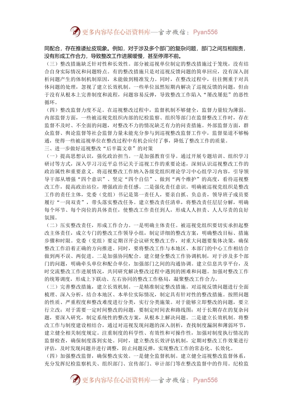 在做好巡视整改“后半篇文章”专题研讨会上的交流发言.docx_第2页