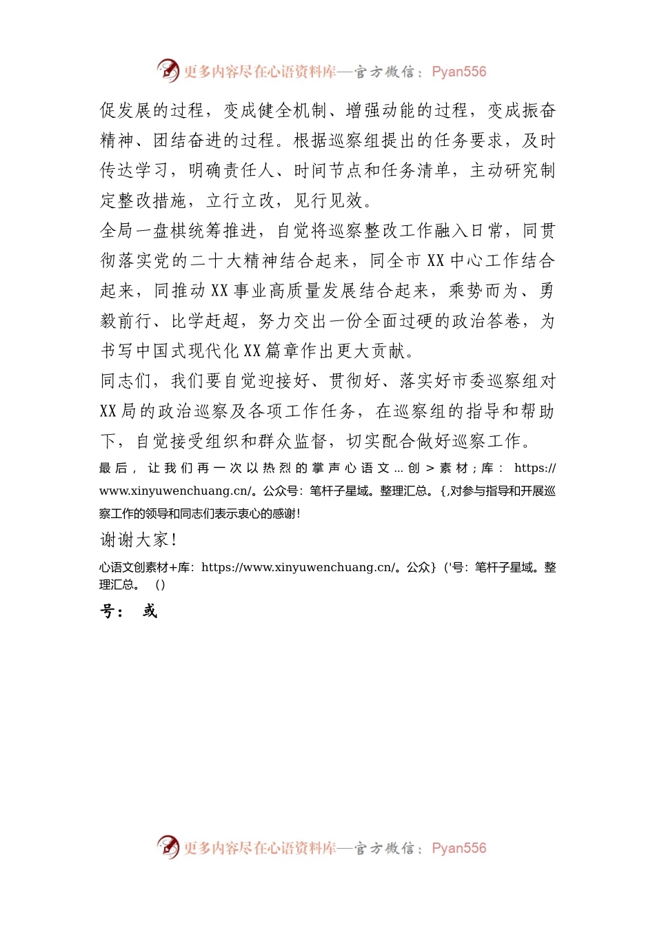 在巡察工作动员大会上的讲话.docx_第2页