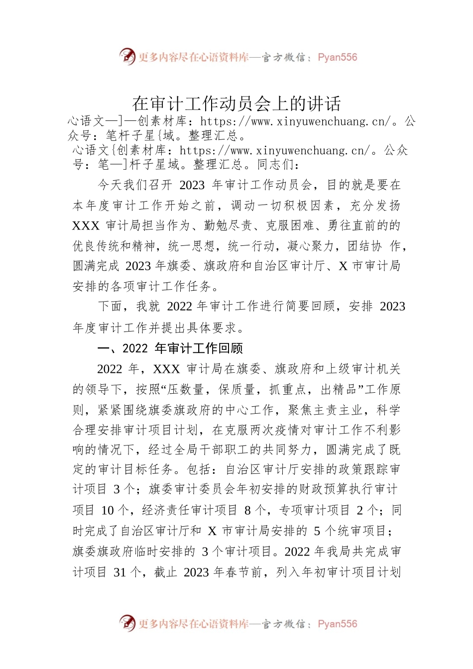 在审计工作动员会上的讲话.docx_第1页