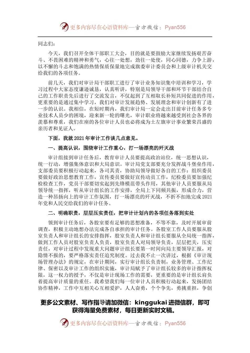在审计工作动员会议上的讲话.docx_第1页