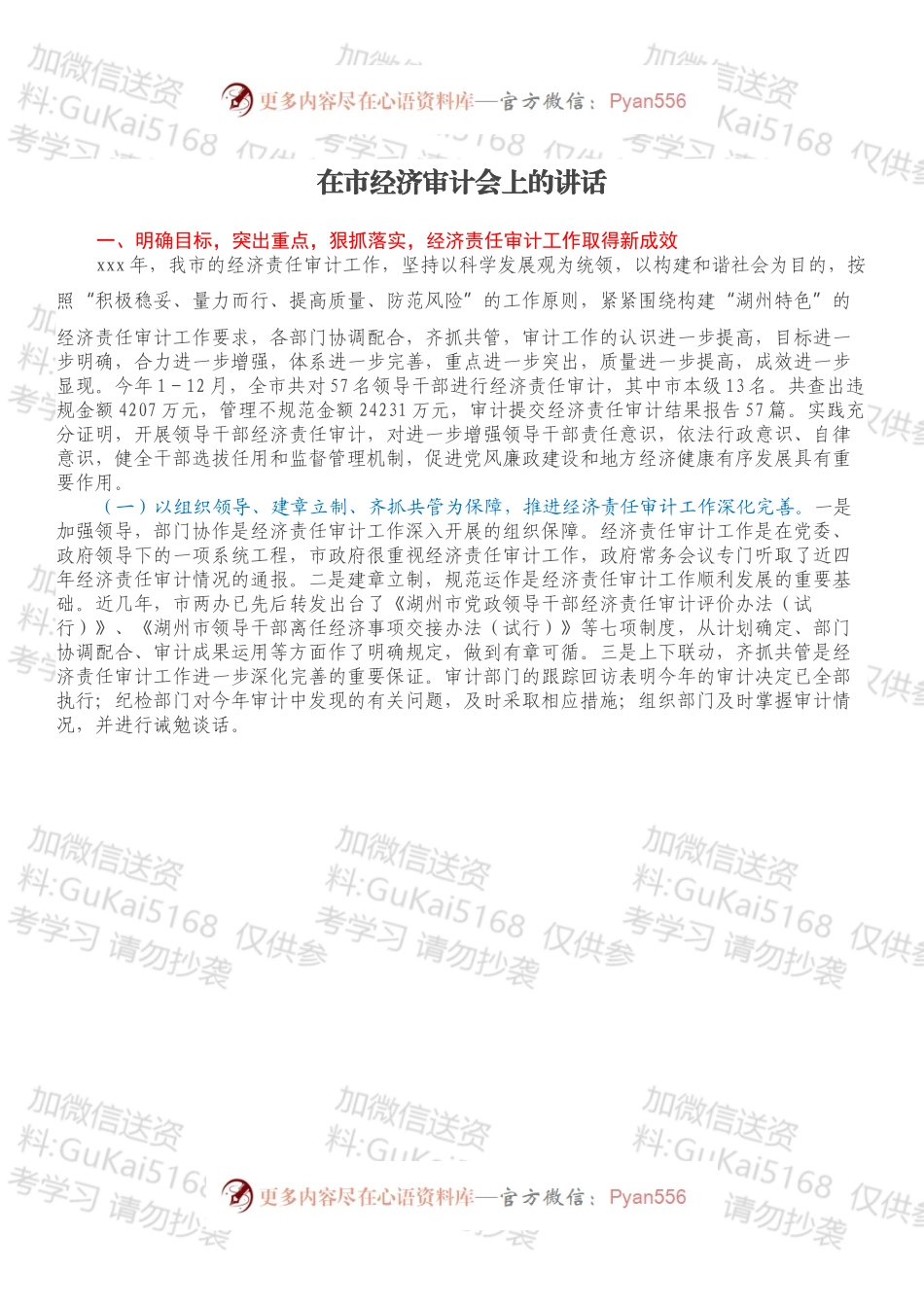 在市经济审计会上的讲话.docx_第1页