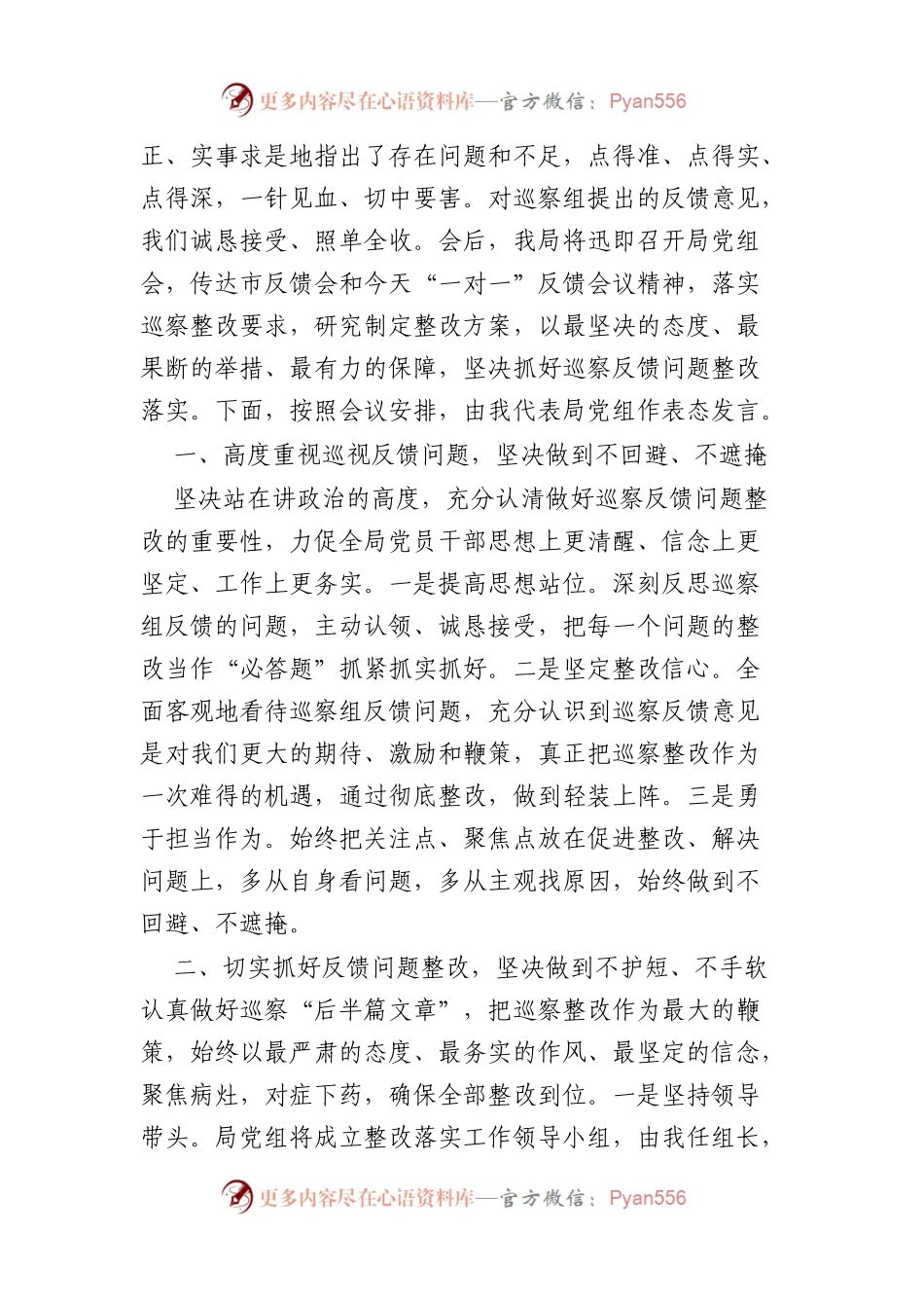 在市委巡察组巡察意见专题反馈会上的表态发言.docx_第2页