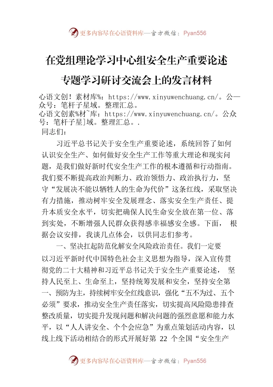 在党组理论学习中心组安全生产重要论述专题学习研讨交流会上的发言材料.docx_第1页