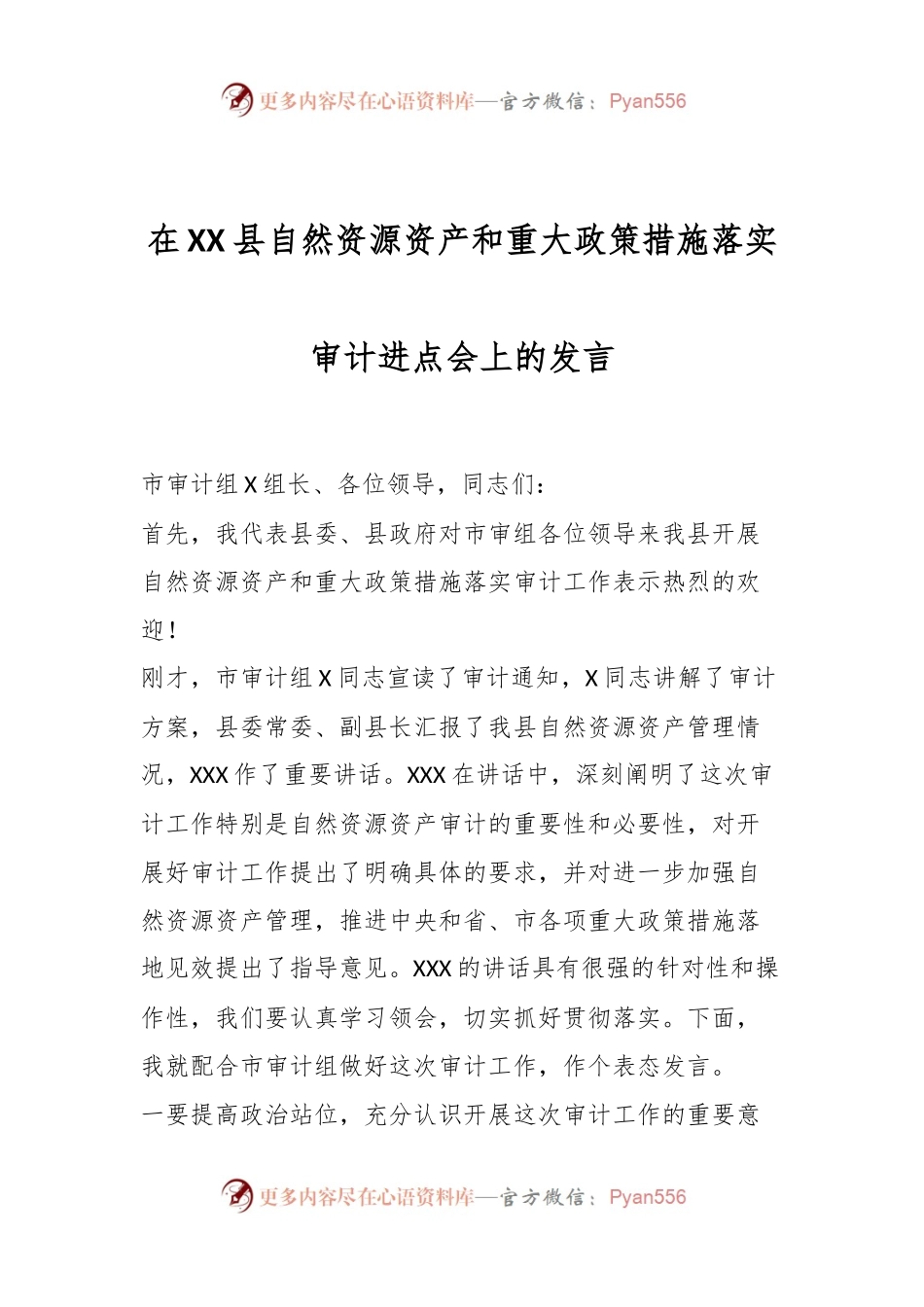 在XX县自然资源资产和重大政策措施落实审计进点会上的发言.docx_第1页