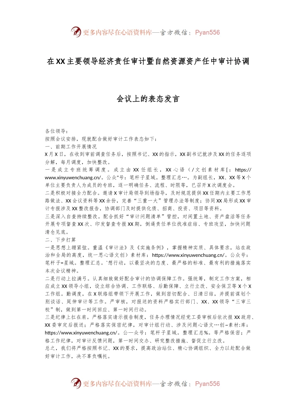 在XX主要领导经济责任审计暨自然资源资产任中审计协调会议上的表态发言.docx_第1页