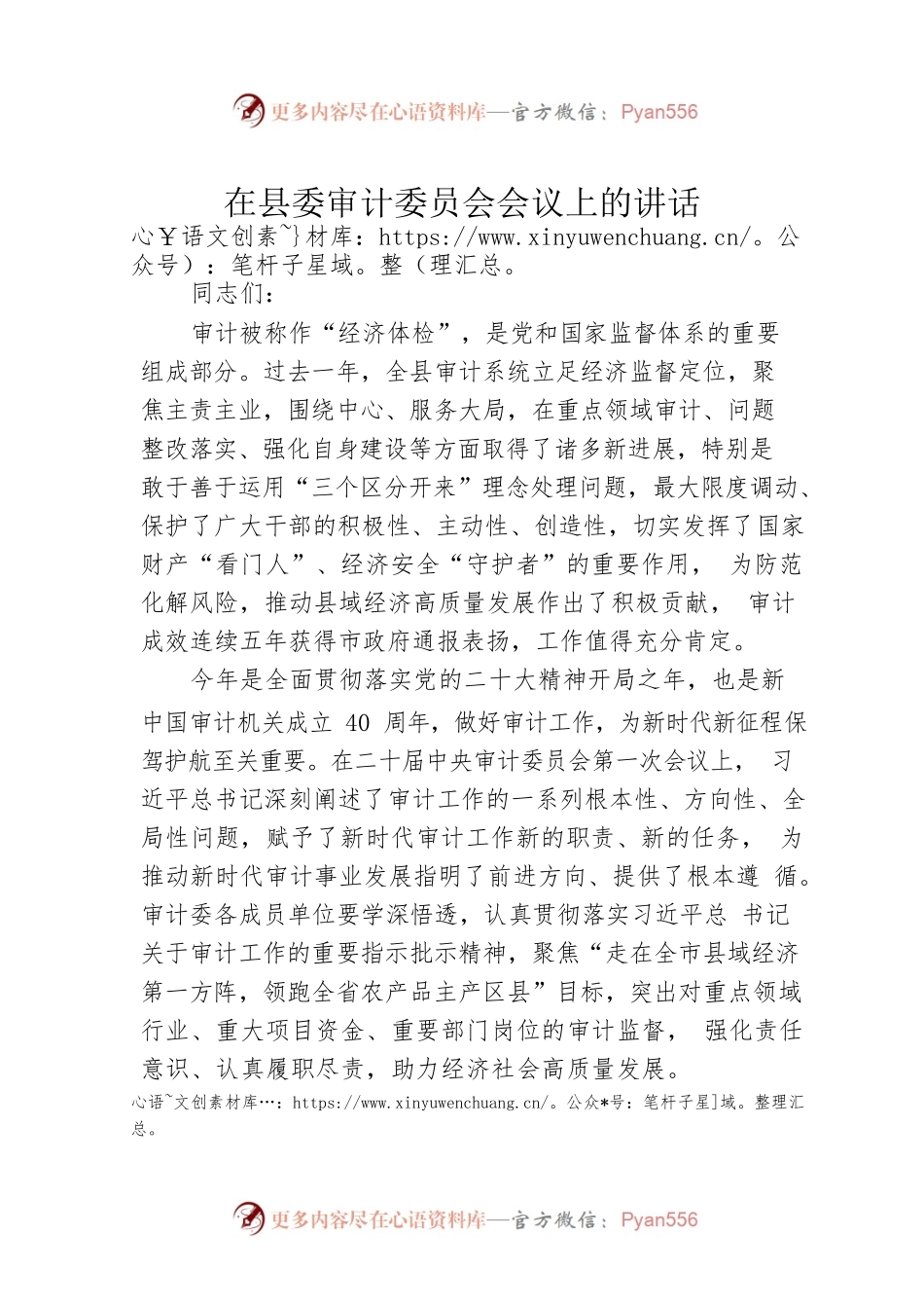 在县委审计委员会会议上的讲话（20230812）.docx_第1页