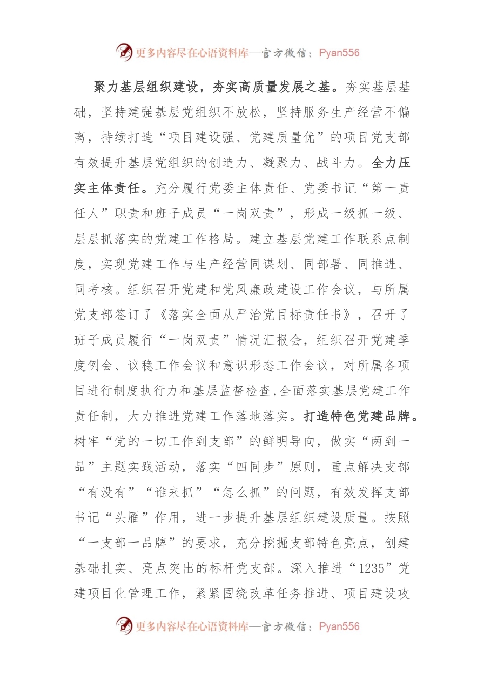 在国有企业党建引领高质量发展经验交流会上的发言.docx_第2页