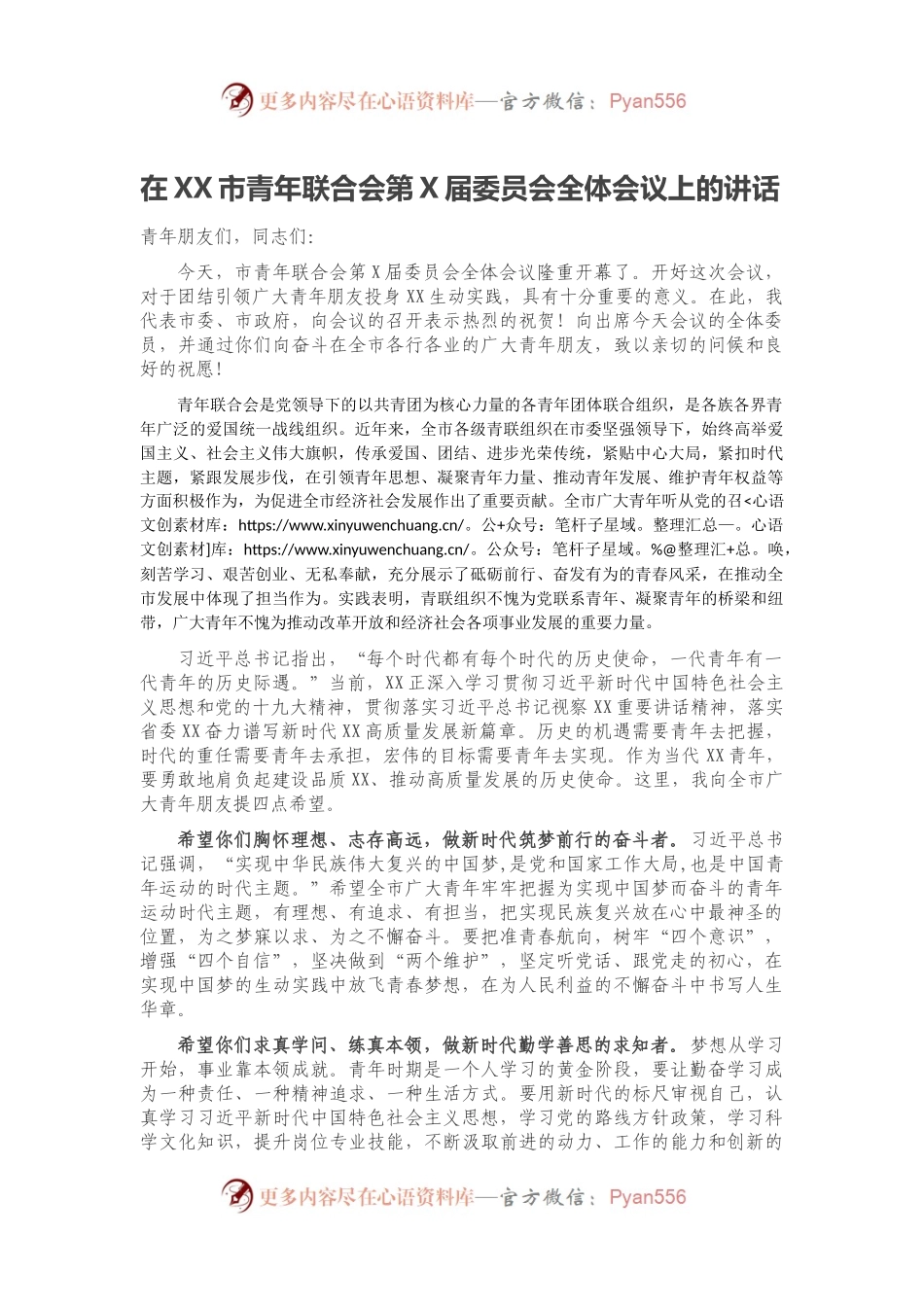 在XX市青年联合会第X届委员会全体会议上的讲话.docx_第1页