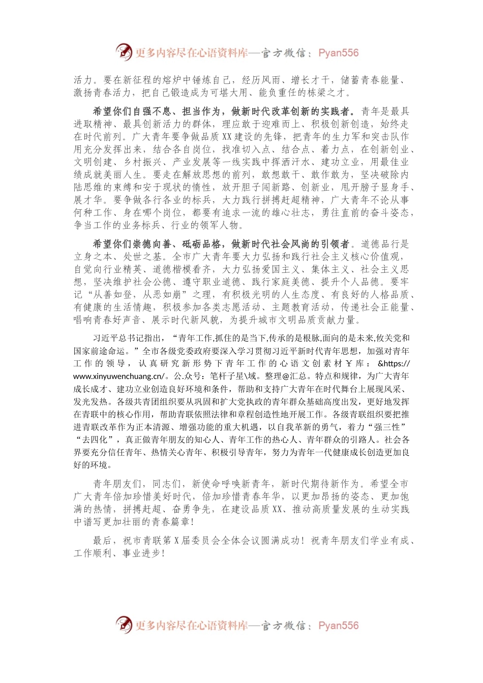 在XX市青年联合会第X届委员会全体会议上的讲话.docx_第2页