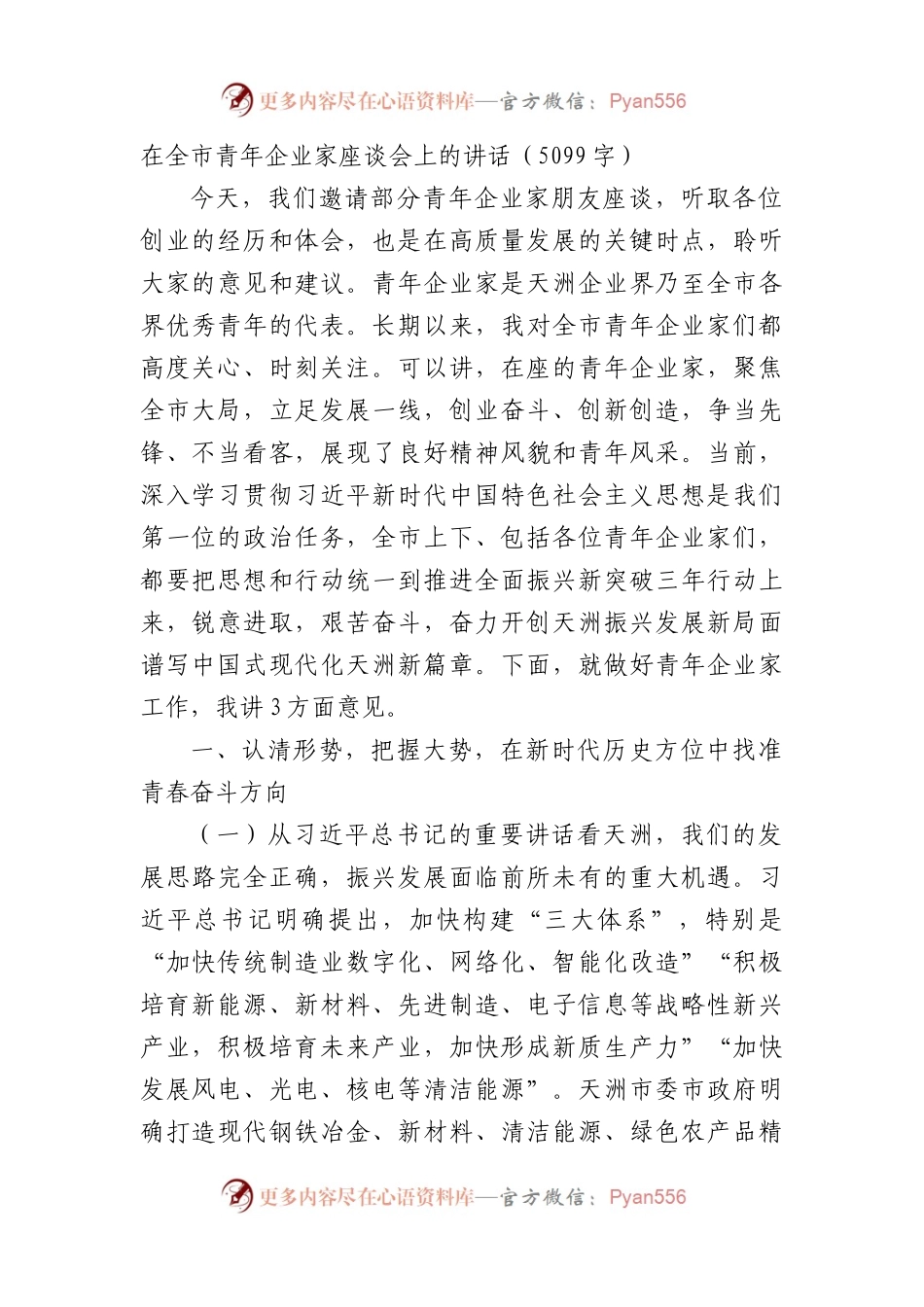 在全市青年企业家座谈会上的讲话（5099字）.docx_第1页