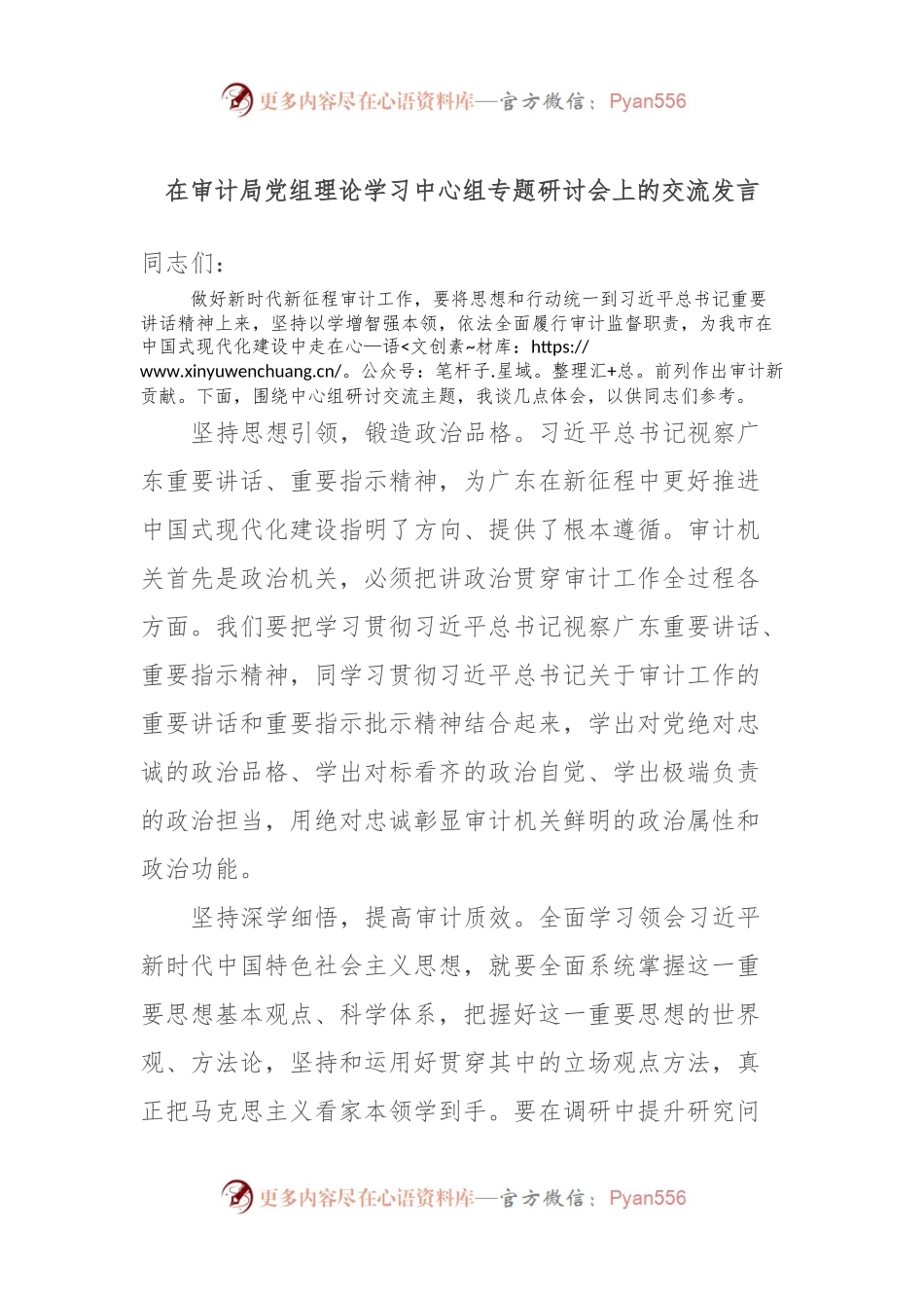 在审计局党组理论学习中心组专题研讨会上的交流发言.docx_第1页