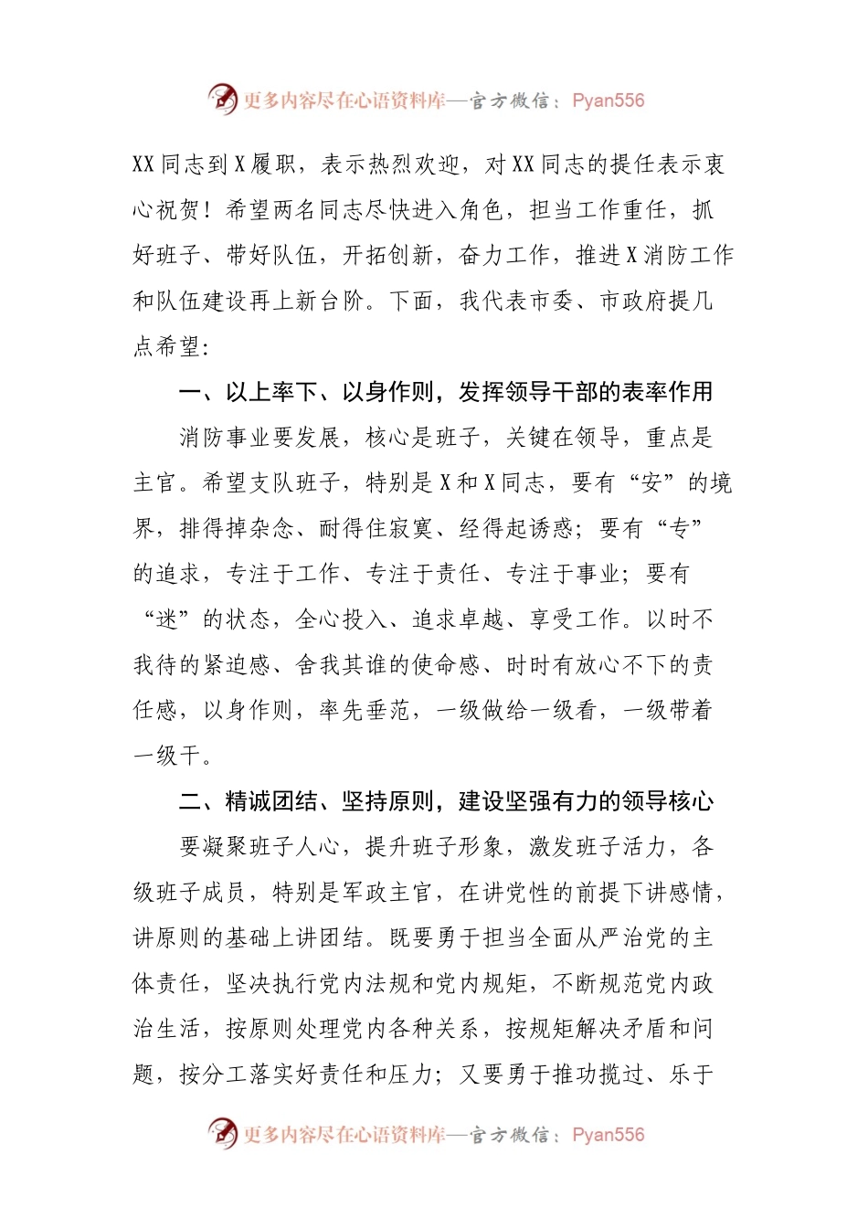 在市消防救援支队干部任职命令宣布大会上的讲话.docx_第2页