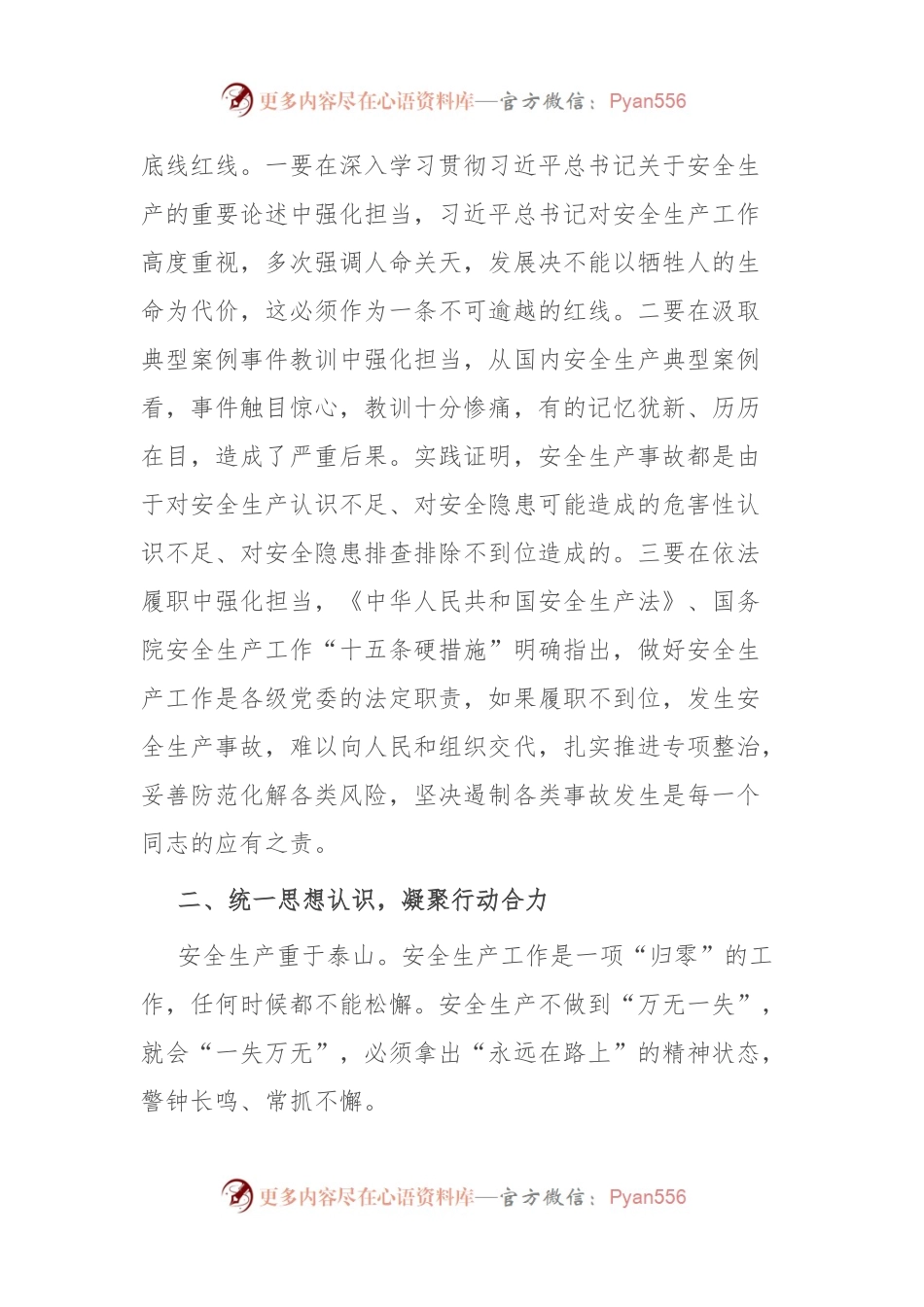 在安全生产专项整治动员会上的讲话.docx_第2页