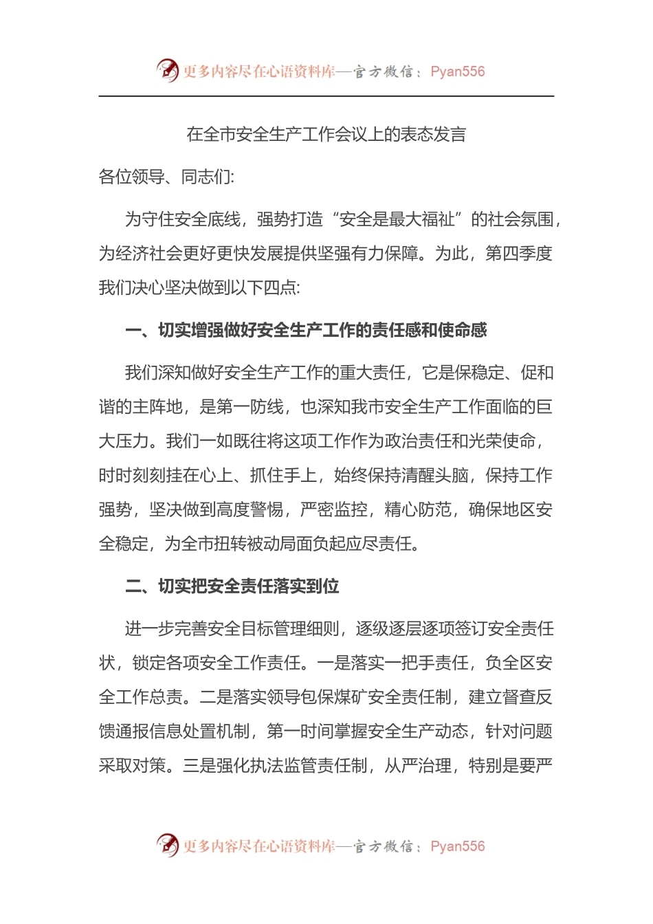 在全市安全生产工作会议上的表态发言.docx_第1页