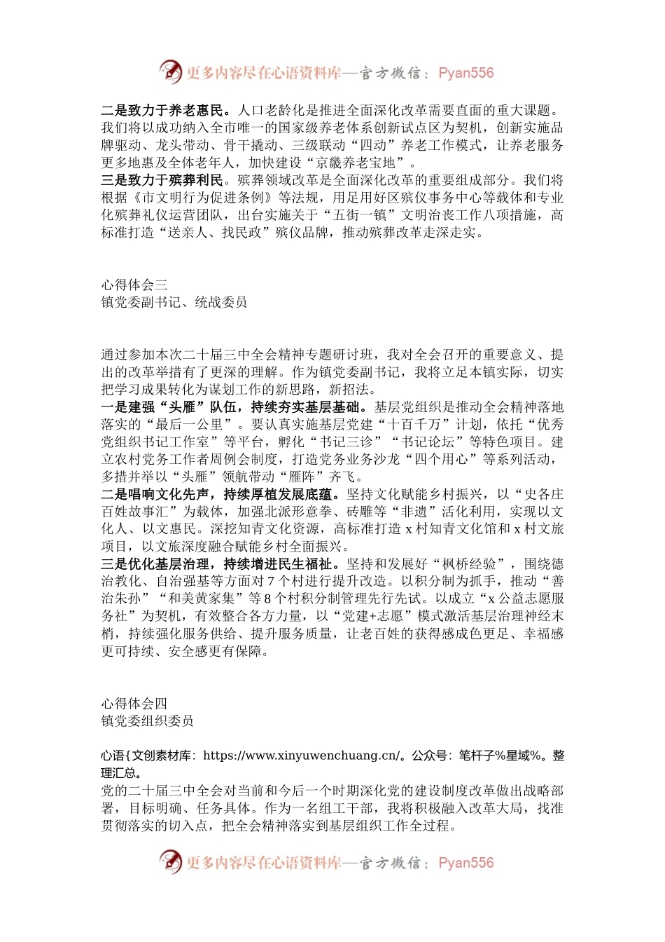 在学习贯彻党的二十届三中全会精神专题研讨班上的发言汇编4篇（街道党工委书记、区民政局党委书记、镇党委副书记、镇党委组织委员）.docx_第2页