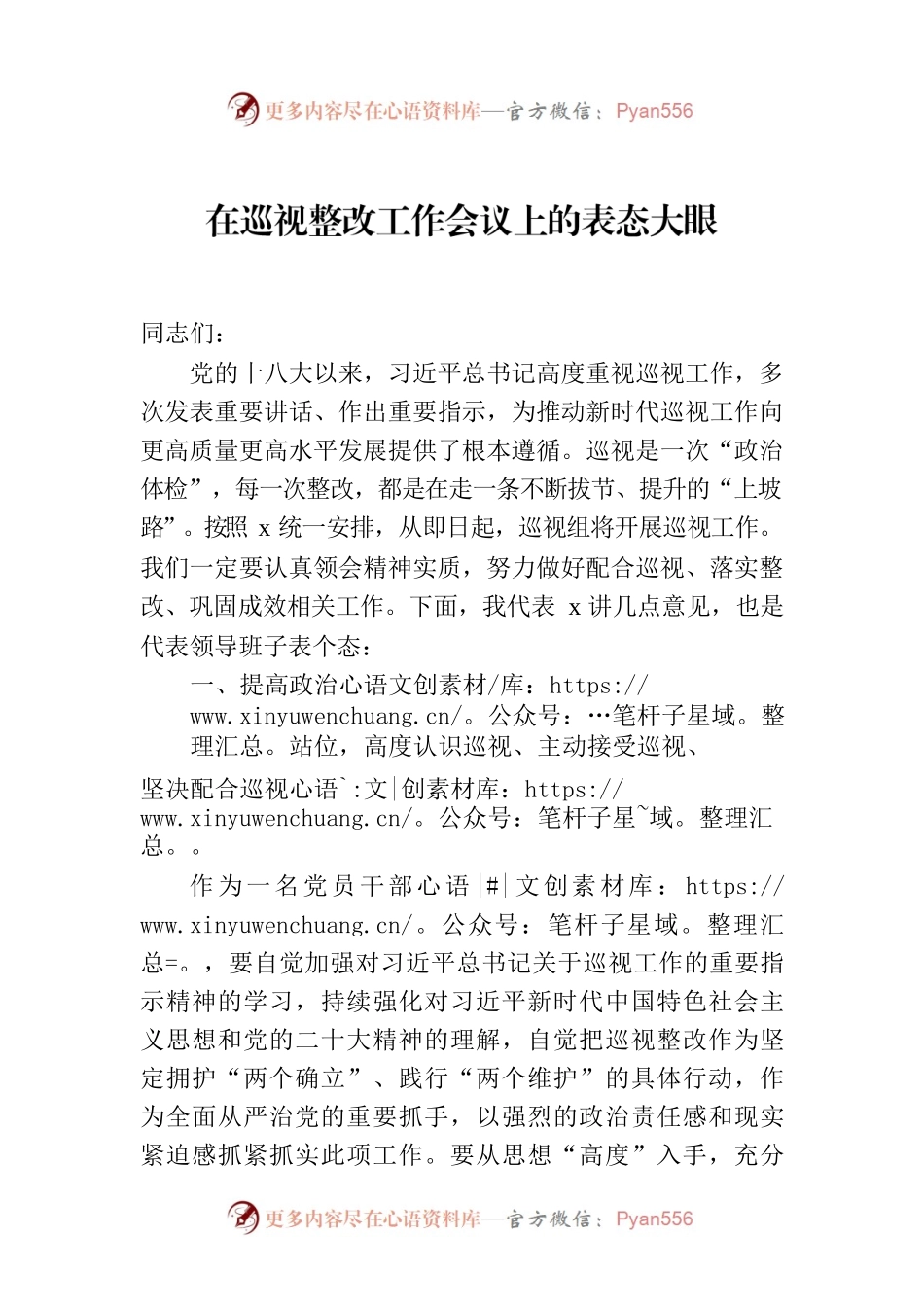 在巡视整改工作会议上的表态大眼.docx_第1页
