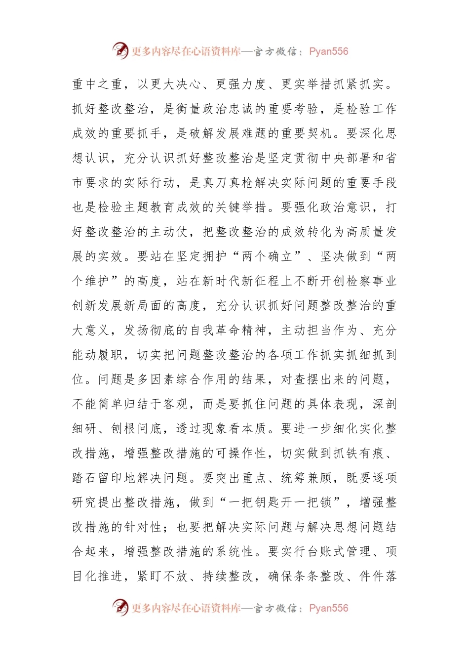 在主题教育整改整治工作推进会上的讲话提纲.docx_第2页