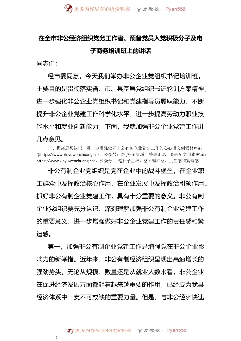 在全市非公经济组织党务工作者、预备党员入党积极分子及电子商务培训班上的讲话.docx_第1页