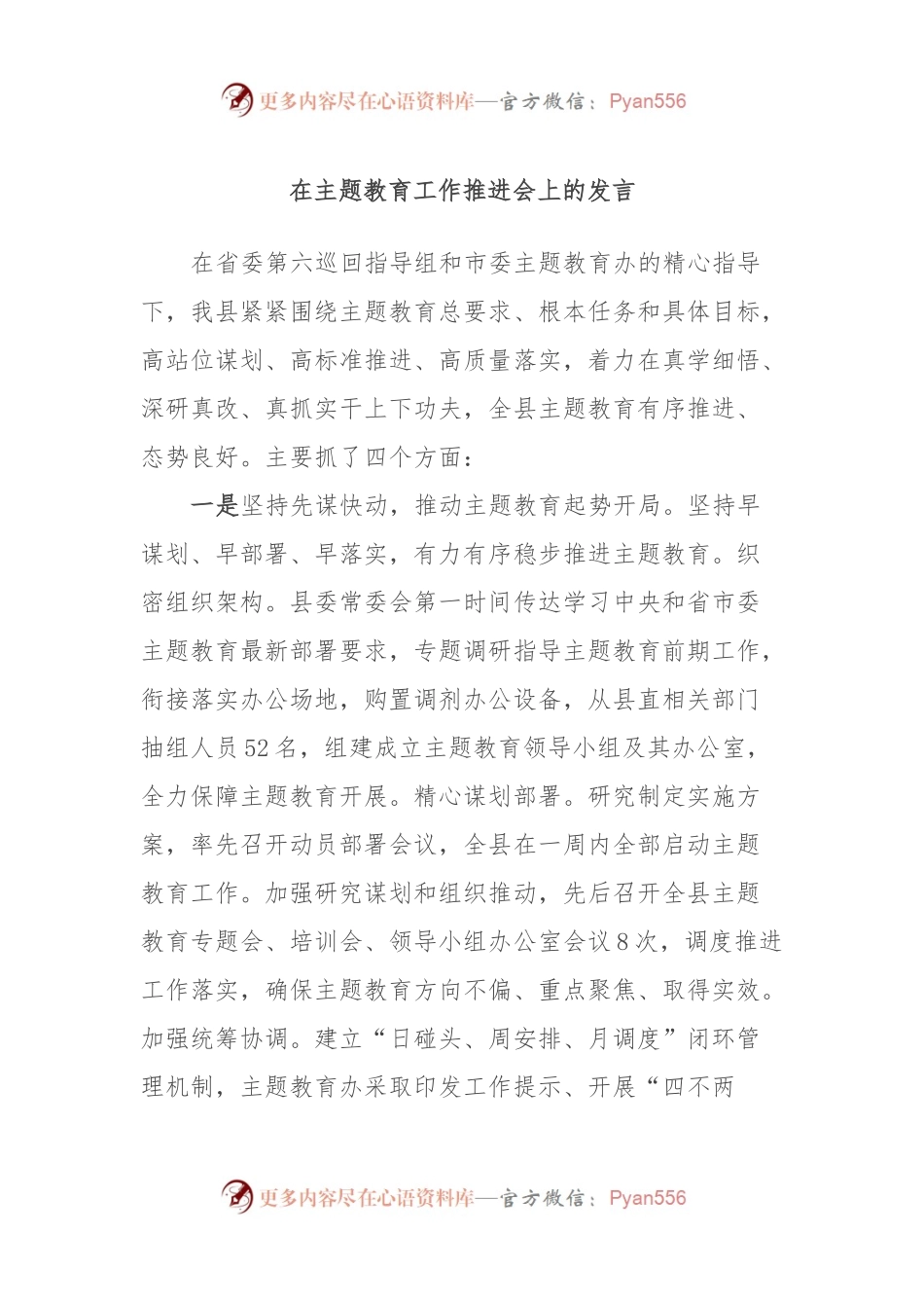 在主题教育工作推进会上的发言 (2).docx_第1页