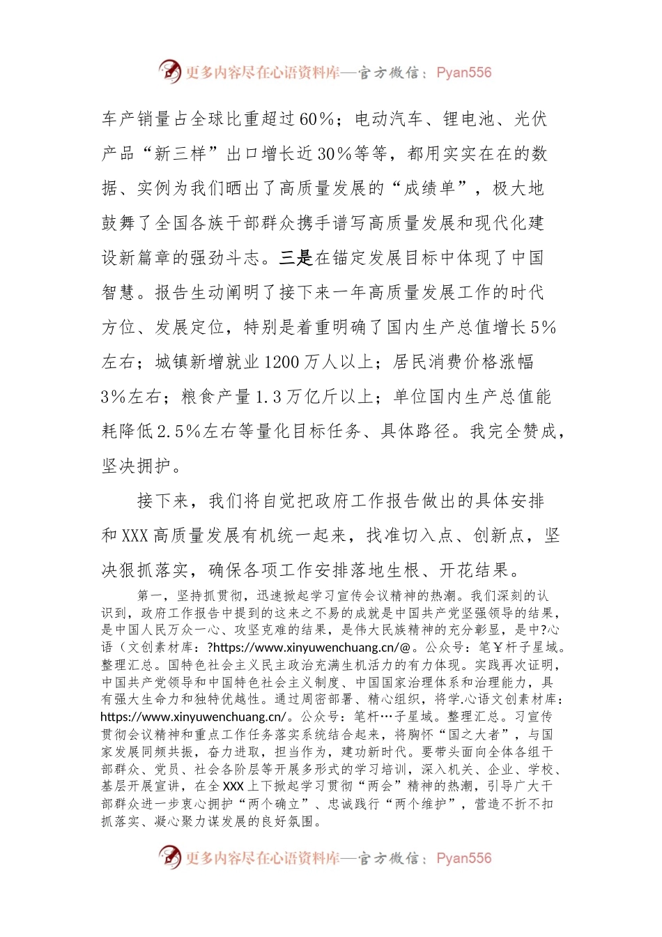 在XX学习贯彻2024年全国“两会精神”研讨会上的发言提纲.docx_第2页