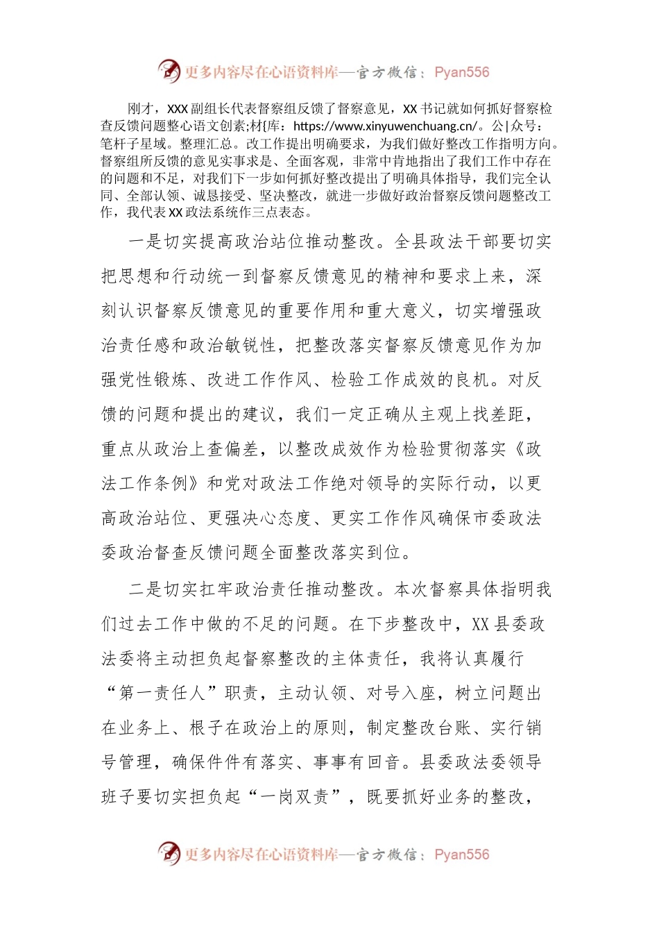 在政治督察反馈会上的讲话.docx_第2页