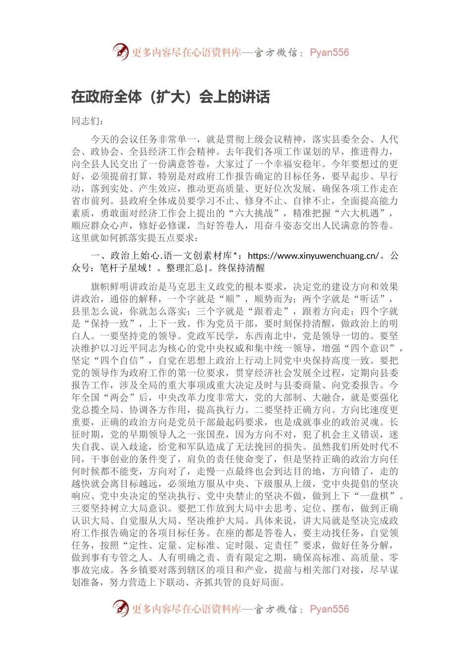 在政府全体（扩大）会上的讲话.docx_第1页