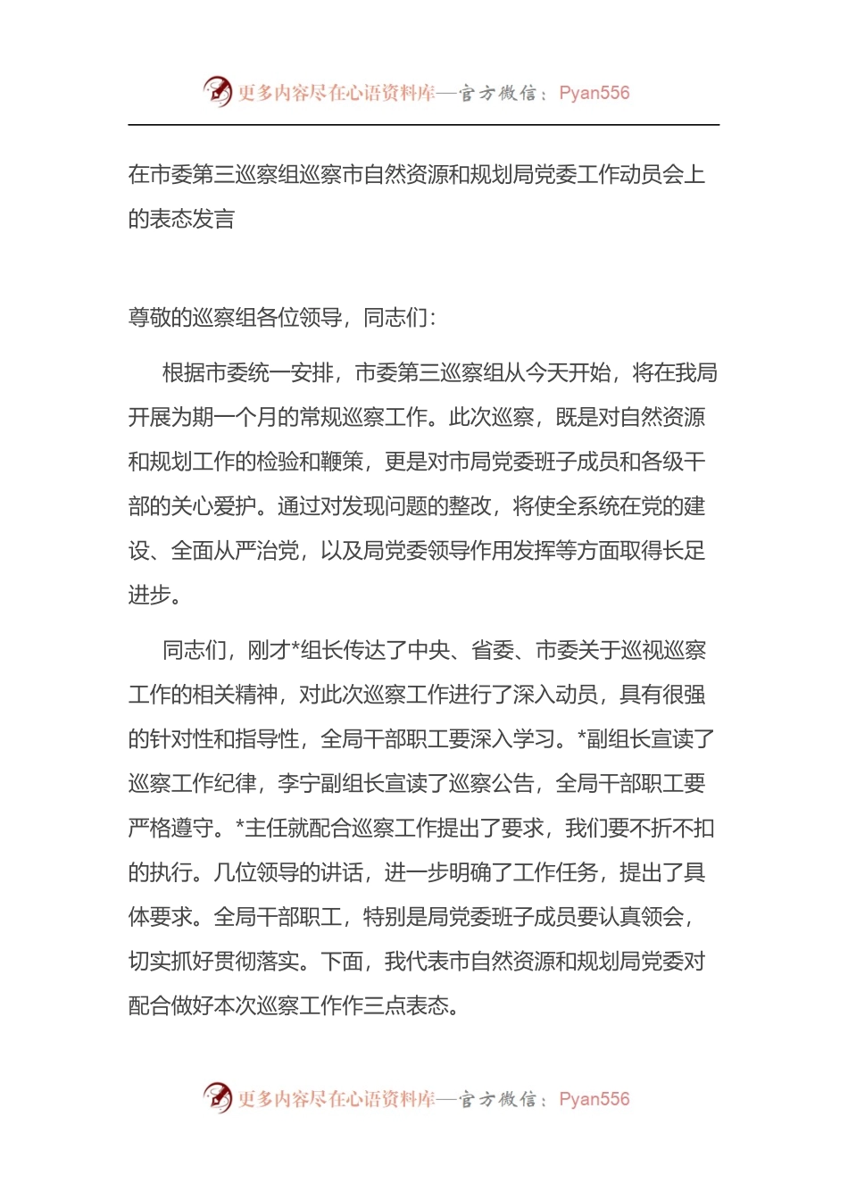 在市委第三巡察组巡察市自然资源和规划局党委工作动员会上的表态发言.docx_第1页