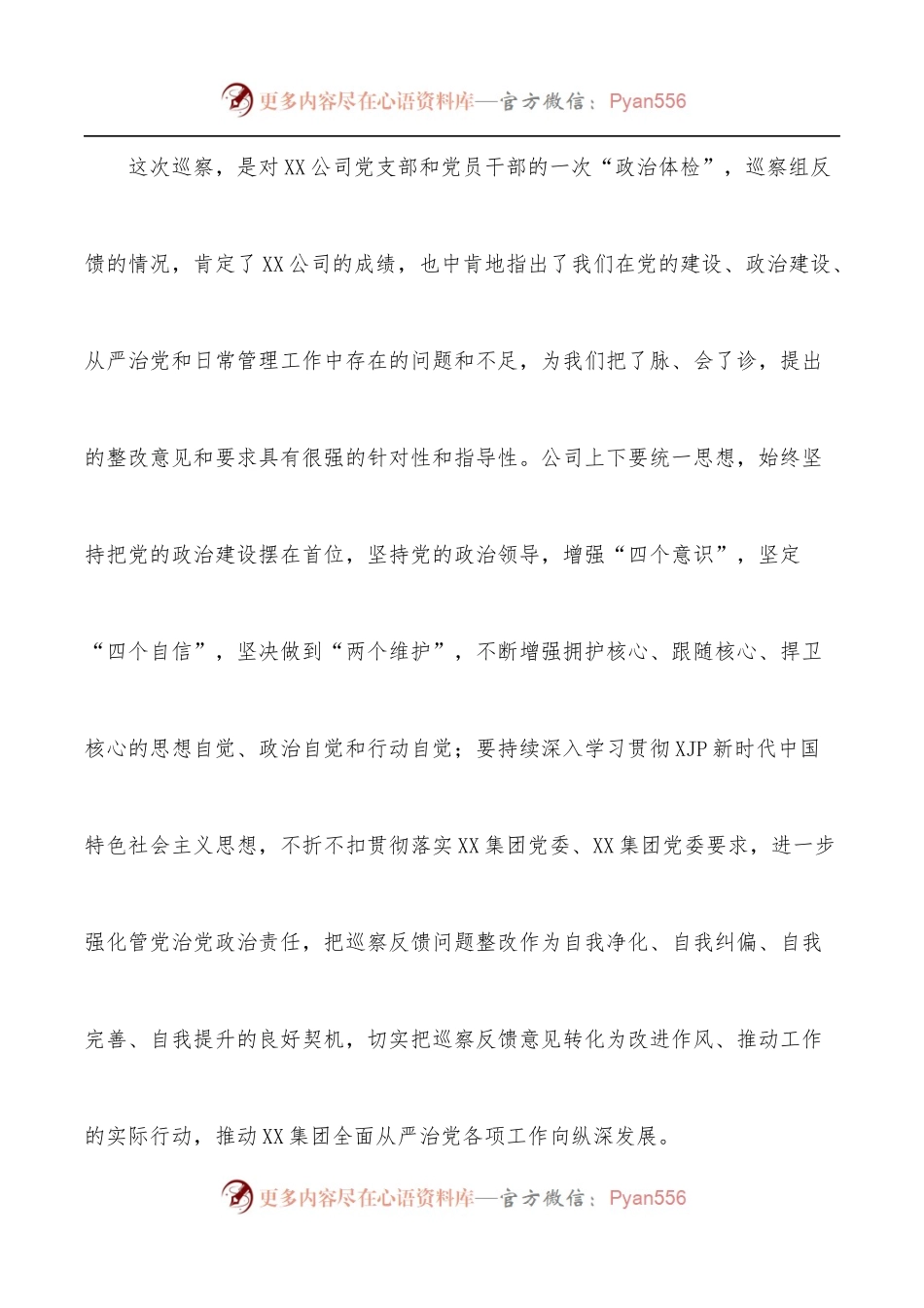 在公司巡察反馈会上的表态发言提纲.docx_第2页