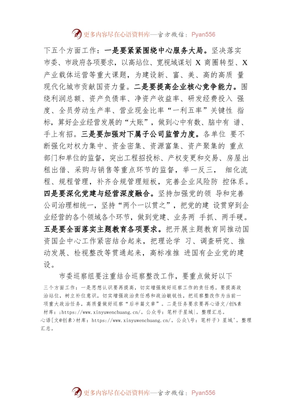 在市国资系统巡察整改工作专题会议上的讲话.docx_第2页