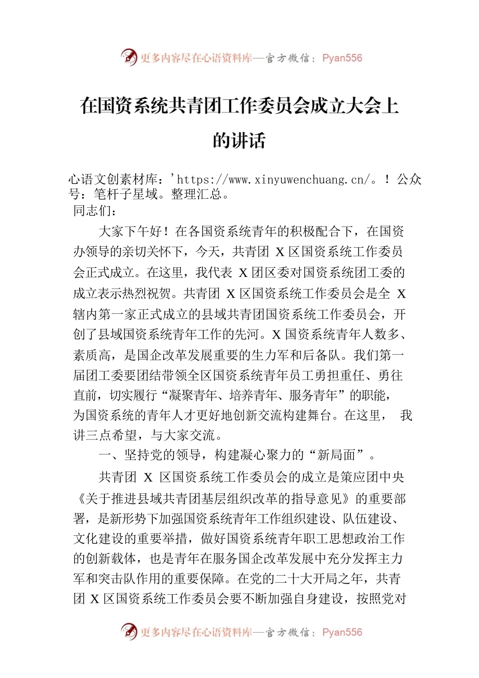 在国资系统共青团工作委员会成立大会上的讲话.docx_第1页