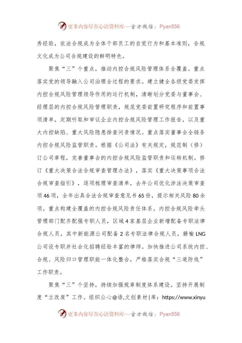 在国资国企合规工作任务落实推进会上的汇报发言.docx_第2页