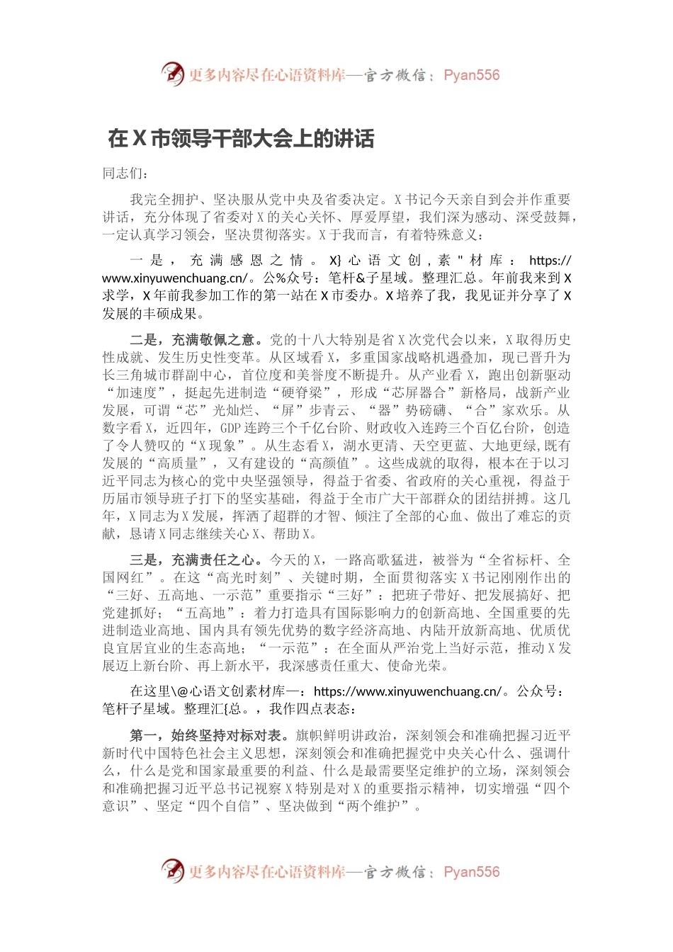 在X市领导干部大会上的讲话.docx_第1页