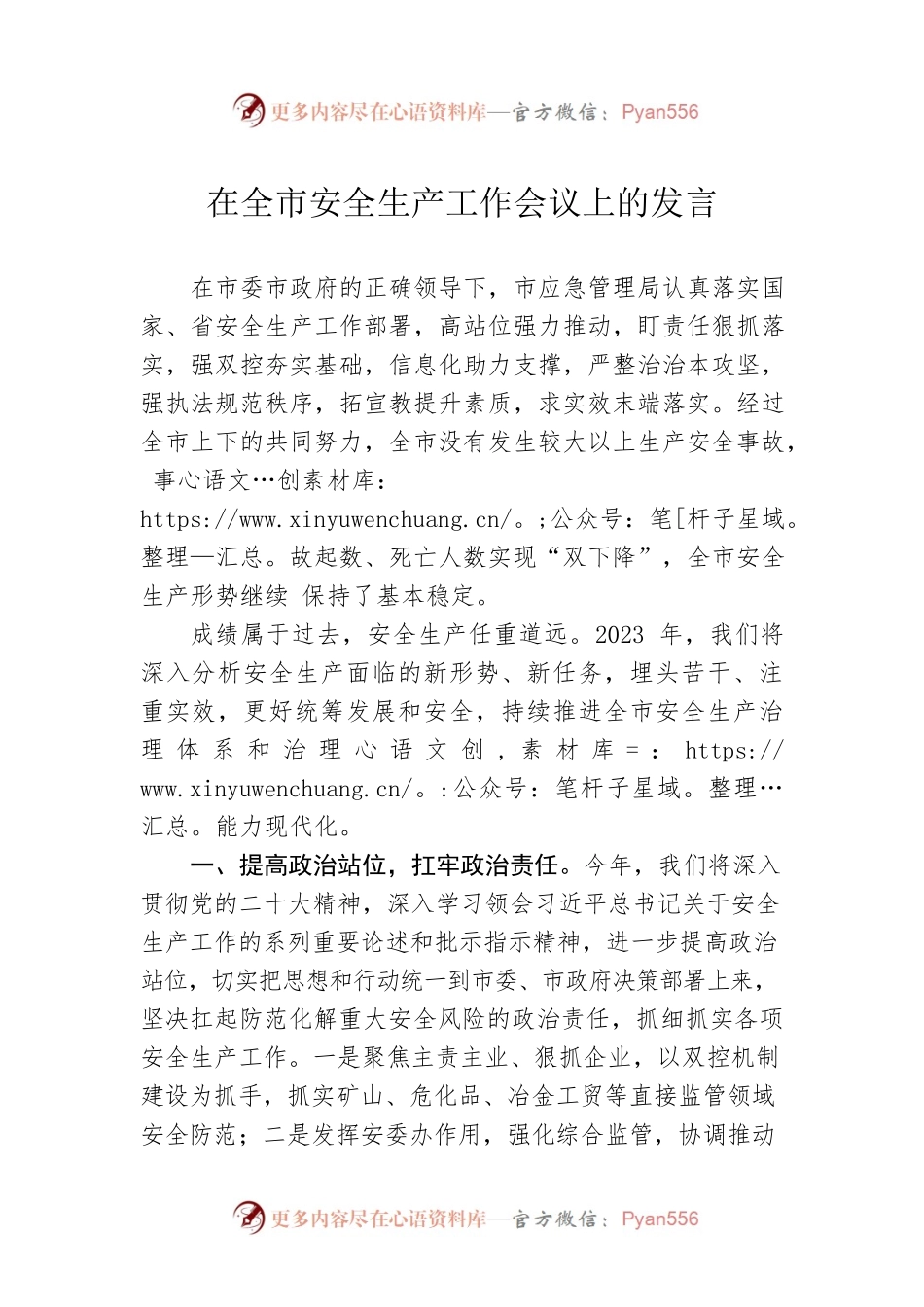 在全市安全生产工作会议上的发言.docx_第1页