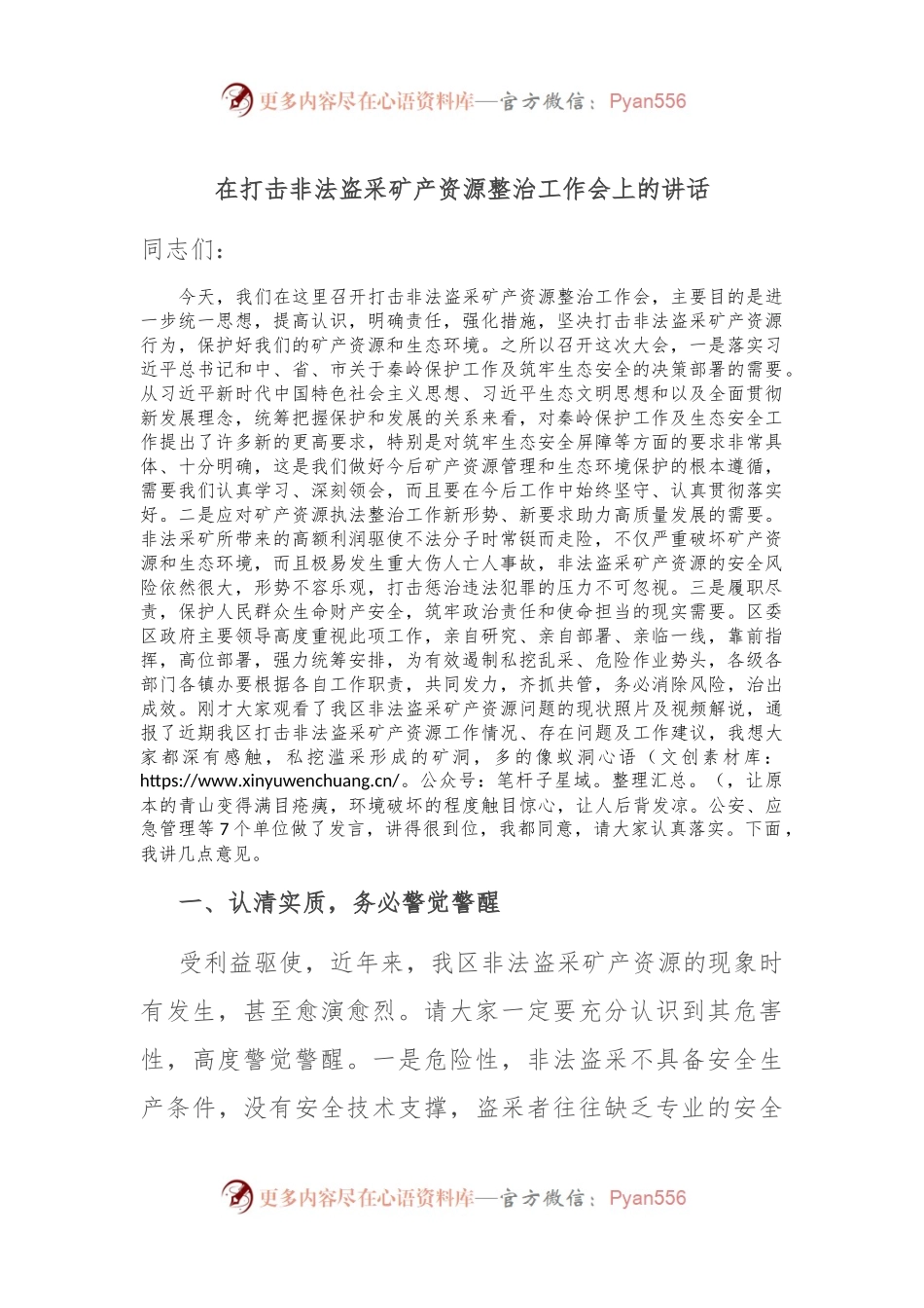 在打击非法盗采矿产资源整治工作会上的讲话.docx_第1页