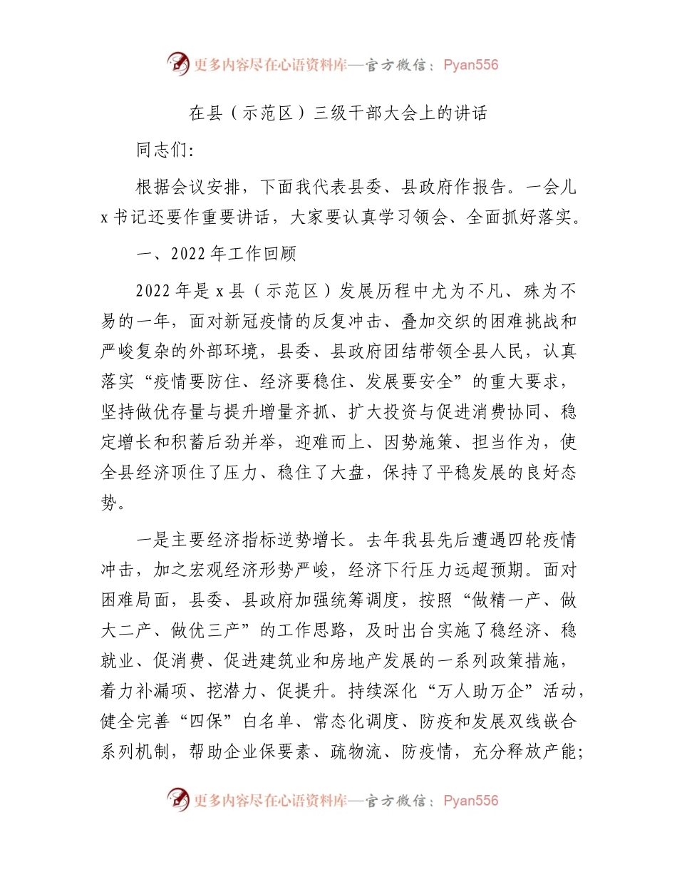 在县（示范区）三级干部大会上的讲话.docx_第1页