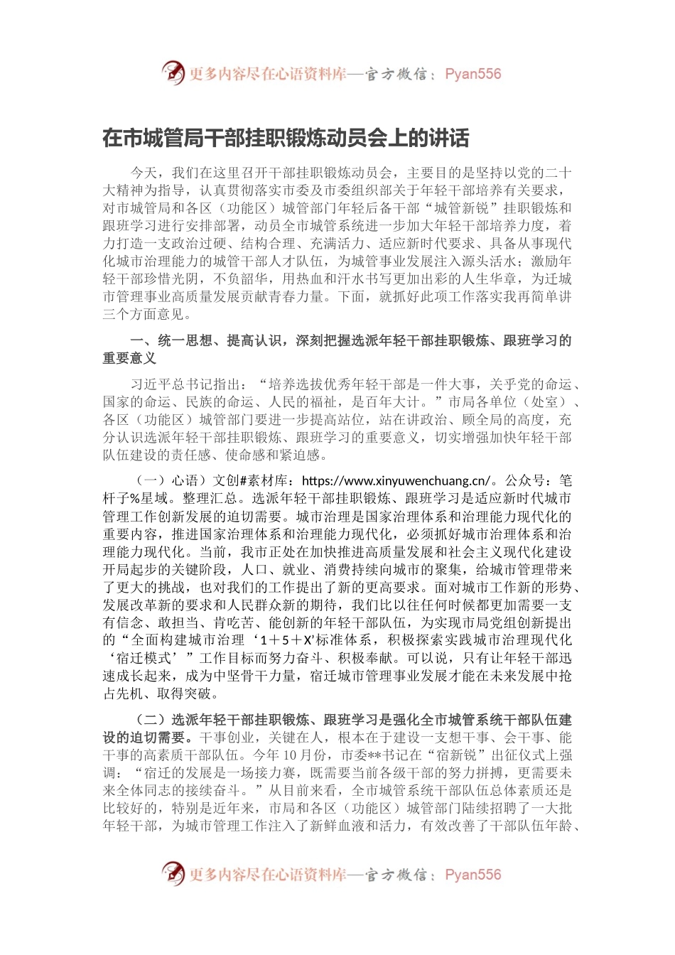 在市城管局干部挂职锻炼动员会上的讲话.docx_第1页