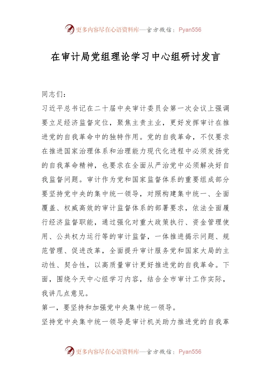 在审计局党组理论学习中心组研讨发言.docx_第1页