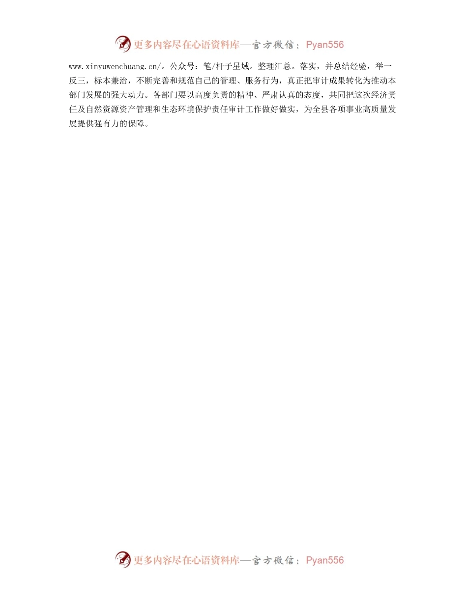 在审计部署会上的讲话.docx_第2页