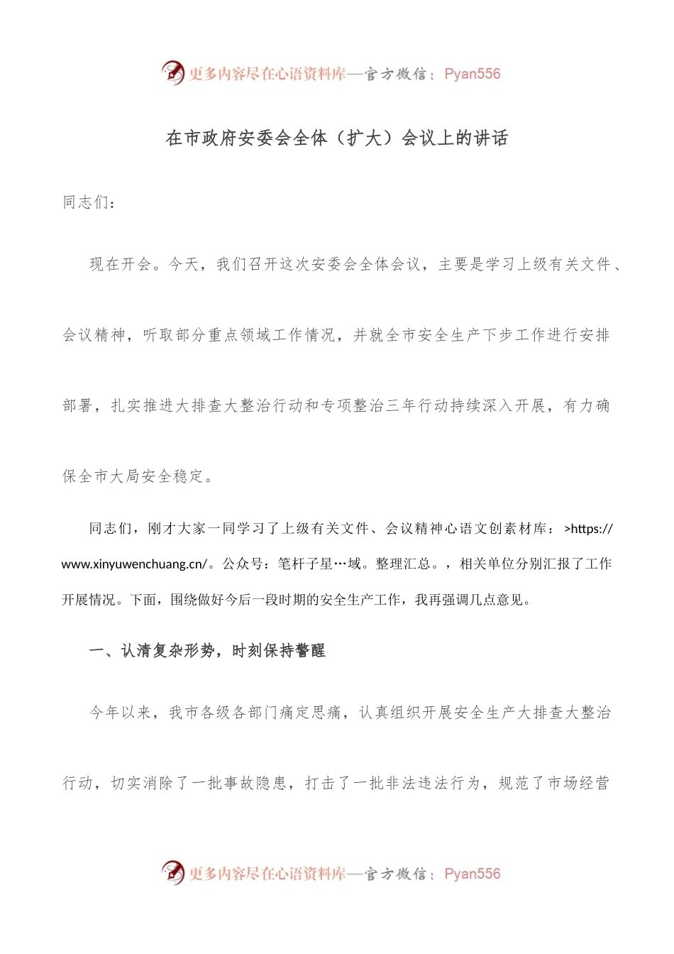 在市政府安委会全体[扩大]会议上的讲话.docx_第1页